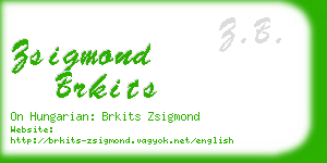 zsigmond brkits business card